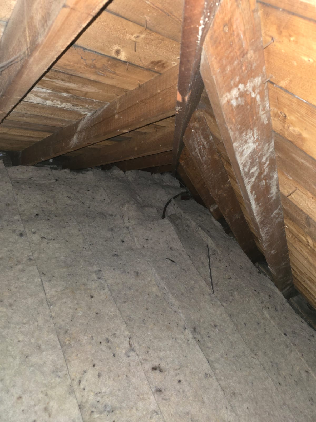 Sheep wool insulation